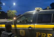 PRF apreende 10 kg de Skunk com passageira de ônibus na BR-365