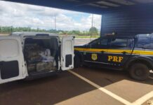 PRF apreende 562 kg de maconha na BR-050, em Uberaba