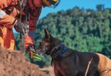 Corpo de Bombeiros Militar de Minas Gerais abre 342 vagas em concurso público