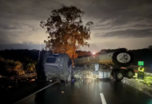 Carreta bate em guardrail, bloqueia pista da BR-050