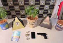 Polícia realiza prisão de autor por tráfico de drogas em Monte Carmelo
