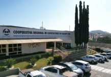 Cooxupé registra resultados recordes e amplia distribuição de sobras aos cooperados