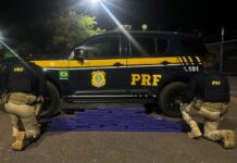 PRF e PMMG apreendem cerca de 50 kg de maconha na BR-365