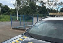 PRF apreende drogas de alto valor em ônibus na BR-365, em Patos de Minas