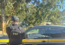 PRF apreende 5,1 Kg de Skunk em veículo na BR 365