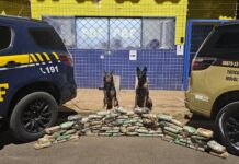 PRF e PMMG apreendem cocaína e crack escondidos em pneus de caminhão na BR-365