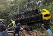 Acidente na BR-365 mobiliza resgate de equinos