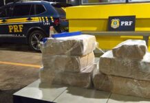 PRF apreende cerca de 200 kg de maconha após perseguição na BR-365