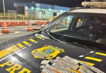 PRF apreende medicamentos para emagrecimento dentro de ônibus na BR-365