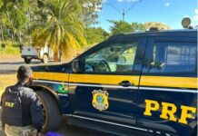 PRF prende homem e apreende maconha e haxixe na BR-365