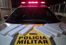 Policia Militar apreende seis barras de maconha durante operação na BR-352 em Abadia dos Dourados