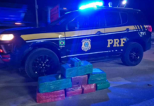 PRF apreende mais de 134 kg de maconha e prende duas mulheres na BR-262