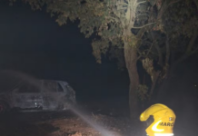 Carro capota, pega fogo e incêndio atinge mata às margens da MG-414