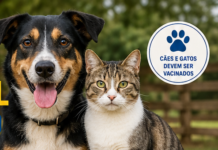 Campanha Antirrábica Animal continua durante essa semana na zona rural de Monte Carmelo