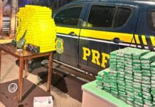 PRF apreende 157 kg de maconha após fuga na BR-365