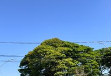 Monte Carmelo terá fim de semana de sol e temperaturas de até 35°C