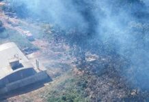 Bombeiros combatem incêndio em vegetação na Fazenda Experimental da EPAMIG