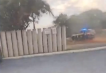 Perseguição na BR-365: casal é preso com 200 kg de maconha