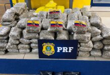 Fuga na BR-050 termina com 132,6 kg de drogas apreendidas