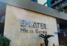 Emater-MG abre concurso público com salários de até R$ 7,3 mil