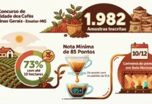 Concurso de Qualidade dos Cafés de Minas Gerais bate recorde com quase 2 mil amostras inscritas